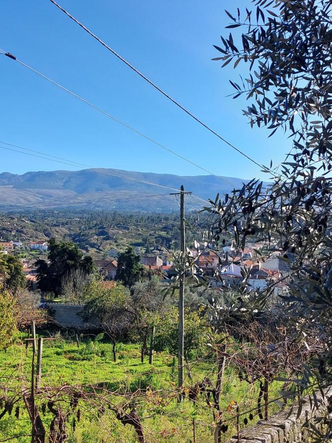 Casa Das Cortes - Serra Da Estrela غويفيا المظهر الخارجي الصورة