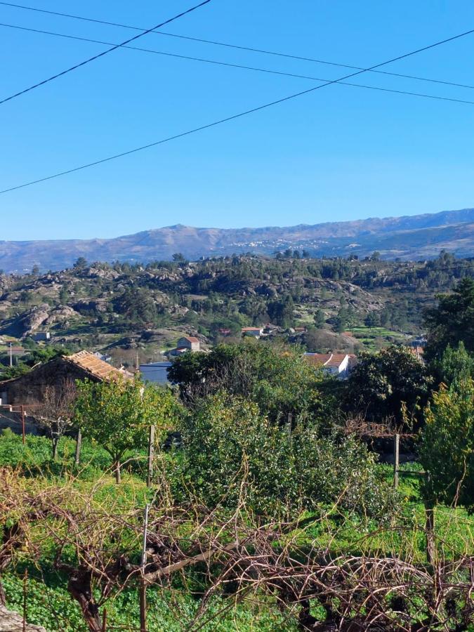 Casa Das Cortes - Serra Da Estrela غويفيا المظهر الخارجي الصورة
