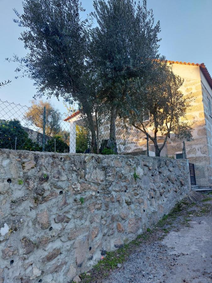 Casa Das Cortes - Serra Da Estrela غويفيا المظهر الخارجي الصورة